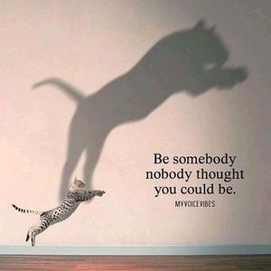 Meet your Posher, Lani